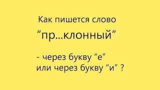 Подготовка к экзаменам без лишних слов. Как пишется слово "пр...клонный"?