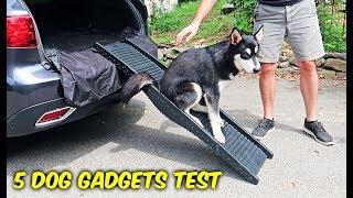 5 Dog Gadgets Put to the Test - Part 7