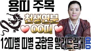 [용궁불사] "용 띠와 천생연분은 OO띠 입니다." 용 띠와 12띠의 띠별 궁합은?!