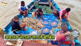 Bombay Duck | डोळीला बोंबिल आणि वाकट्या भेटाला सुरुवात | डोळीत आले मोठे खटकूट | Fishing | Bombil