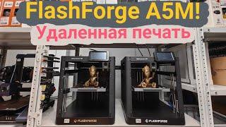 FlashForge A5M - Настраиваем удаленную 3Д печать!