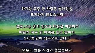 약속과 기다림 [좋은글 감동글]