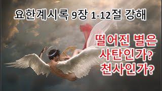 [계 9:1-12] 떨어진 별은 사탄인가? 천사인가? 또 메뚜기 떼의 재앙, 요한계시록 9장 1-12절 강해