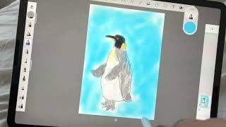 How To Draw a Realistic Penguin| Easy and Slow | GSMtube Creations