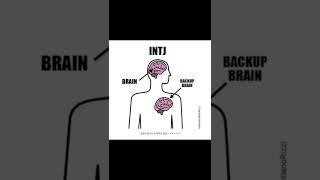 [mbti]intj enfp 속상단어 많이 쓰는 유형,밈