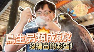 鷹寶達成的鳥生成就？沒播出的隱藏版彩蛋大公開！| 波氏家族 popofamily