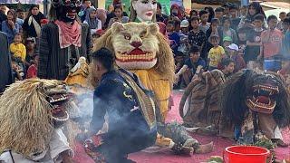 Full Barongan Gembong Amijoyo Rejosari Babak Siang | Live Streaming