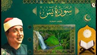 Surah Yasin (Yaseen) | Most beautiful recitation | Abdulbasit Abduasamad | سورہ یاسین Quran tilawat