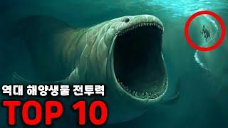 역대 최강의 해양 생물 순위 TOP10