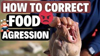 Dog Food Aggression: How to Fix! (Step by Step)