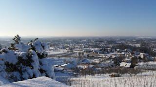   winterlicher Drohnenflug in den Weinreben nahe Renchen-Ulm im Ortenaukreis (Baden-Wü.)