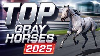 6 Gray Racehorses Taking Over in 2025 | White Abarrio , Sandman and Hit Show