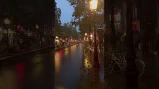 𝙏𝙝𝙞𝙨 𝙞𝙨 𝘼𝙢𝙨𝙩𝙚𝙧𝙙𝙖𝙢,𝙉𝙚𝙩𝙝𝙚𝙧𝙡𝙖𝙣𝙙𝙨  #shorts #viralfeeds #rain #relaxing