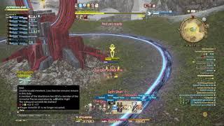 FFXIV Paladin vs Machinist PVP