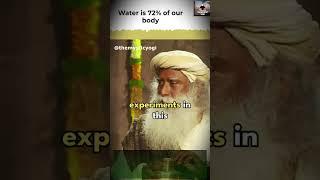 Sadhguru Says Water Remembers Everything | Sadhguru Shorts | The Mystic Yogi