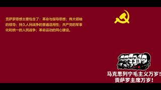 马列毛主义简介-A Brief Introduction to Marxism-Leninism-Maoism(MLM)