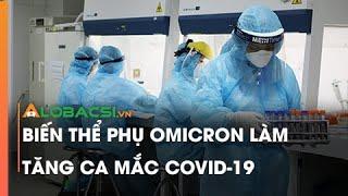 Biến thể phụ Omicron làm tăng ca mắc COVID-19