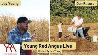 Young Red Angus Live With Dan Rasure (Composting On A Large Scale)