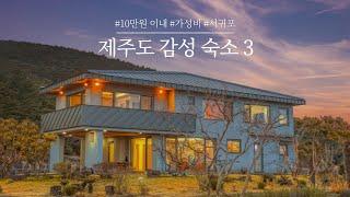 제주도 감성숙소 | 10만원 이내 가성비 서귀포 숙소 추천! 파크 선샤인 제주, 컬러인제주 등 서귀포 감성숙소를 소개합니다.