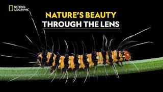 Capturing Nature’s Wonders | Photographer | हिंदी | Full Episode | S1 - E2 | Nat Geo