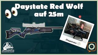 Daystate Red Wolf - Schießstand 25m - der Rekord!!