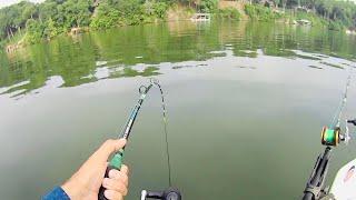 I Hooked a GOLLY WHOPPER Size Flathead In The Middle of the River