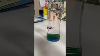 네모의 주말보내는 방법
