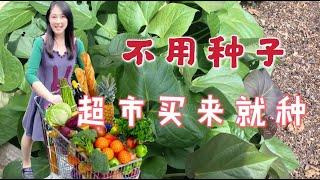 10 kinds of vegetables from supermarket can be regrown, don't need seeds