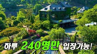 하루 240명만 입장/ 외국 같은 여행지!이국적인 느낌의 호수 여행지! 대중교통 당일치기 여행/