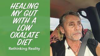 Rethinking Reality: Healing My Gut With A Low Oxalate Diet | Dr. Robert Cassar