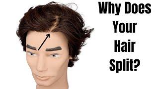 Why Does your Hair Split - TheSalonGuy