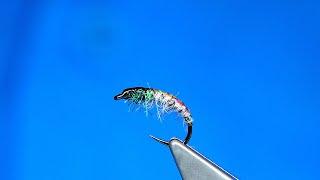 Tying a A.K Bug Czech Nymph with Davie McPhail