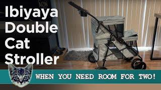 The Best Value Double Cat Stroller Tested: Ibiyaya Double Decker Full Review!