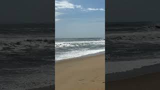 Surfing Waves  at Kitty Hawk OBX #ValerieVentures #OBX #Surfers