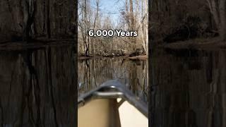 Indigenous knowledge is deep || #nativeamerican  #northcarolina #environmentalprotection #river