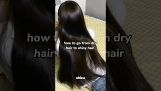 how to go from dry hair to shiny hair #aesthetics #hair #tips #trending #shorts