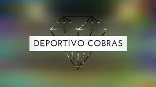 Club Deportivo Cobras Regresa a la Liga Premier de Merida