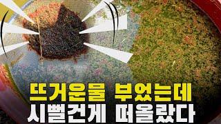 모기 서식지에 팔팔 끓인 뜨거운물로 유충 퇴치