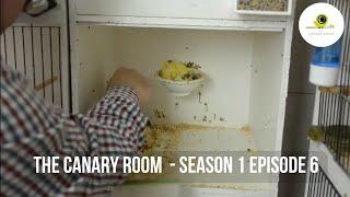 The Canary Room - Season 1 EPISODE  6