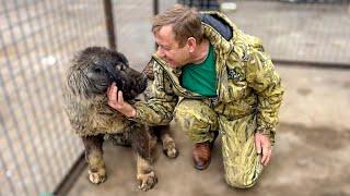 Эта собака ПОКОРИЛА СЕРДЦЕ Зубкова в эту поездку в Донецк СВОИМИ ГЛАЗАМИ! Теперь ОНА ДОМА!