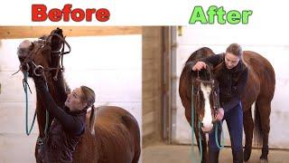 HOW TO BRIDLE A DIFFICULT HORSE 