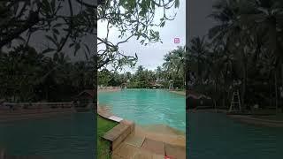 Pool view's  #poolview #shorts #shortsvideo #shortsviral #ytshorts #ytshortsindia