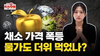 물가도 더위 먹었나? 미쳐버린 채소값ㅣ기후 위기가 불러온 심각한 물가상승ㅣ지식핫플