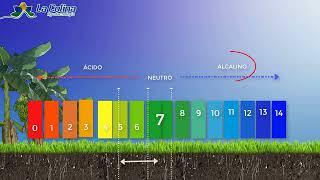 ¿Qué es el pH del suelo y para qué sirve?