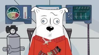 An Adorable, Heartbreaking Cartoon Celebrates Laika, the First Dog in Space