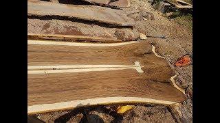 Woodmizer  LT40 Milling Book matched walnut log. PowerModz!