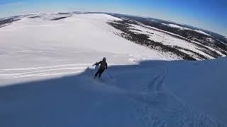 Lofsdalen 2024 med 4 små 