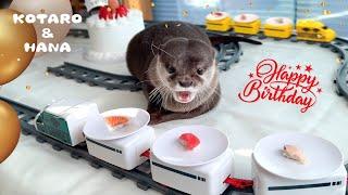 Otter Kotaro’s Otterly Awesome Sushi Train Birthday Party!