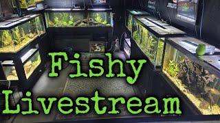 Cold Water Aquatics is live in the Chilly willy fishroom.