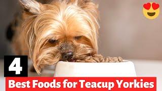 4 Best Dog Foods for Teacup Yorkies